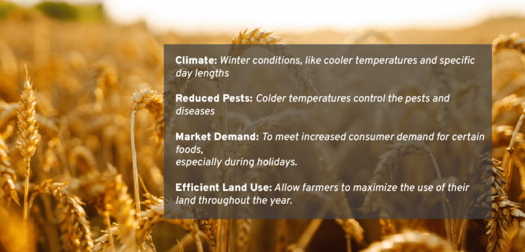 How Oil Resistant Rubber Belting Helps the Farmers During the Winter Harvest Season (2)
