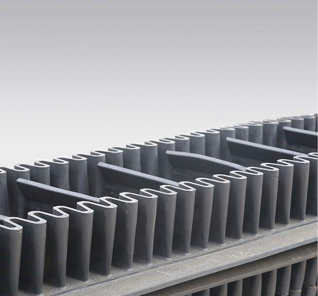 MAX-Belt-Product-Image (4)